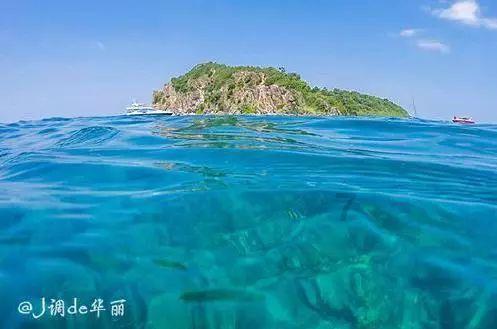 时尚太阳眼镜